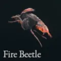 Fire Beetle