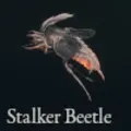 Stalker Beetle