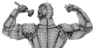 Bulwark
