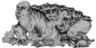 Hornskin